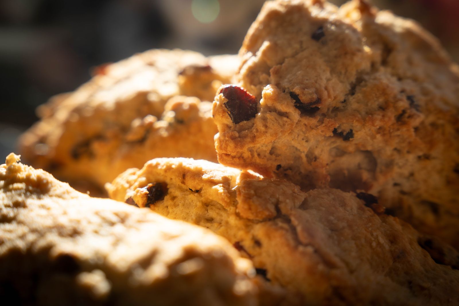 Vers gebakken scones met gedroogd fruit, close-up