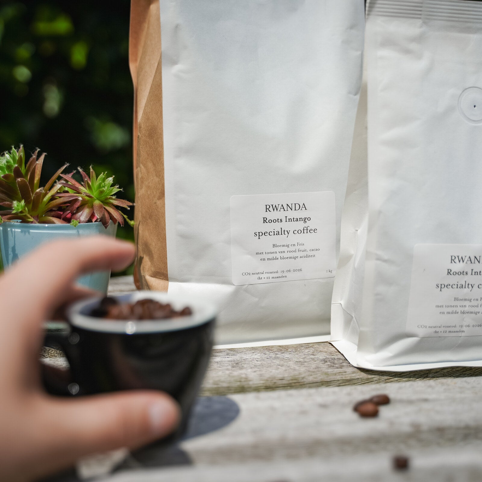 Wisselende Special Rwanda koffiebonen close-up